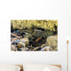 Crawfish Hiding under Rocks Wall Decal