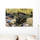 Crawfish Hiding under Rocks Wall Decal