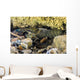 Crawfish Hiding under Rocks Wall Decal
