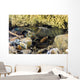 Crawfish Hiding under Rocks Wall Decal