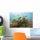 Vegetation Lake Murray Oklahoma Wall Decal