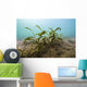 Vegetation Lake Murray Oklahoma Wall Decal