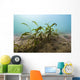 Vegetation Lake Murray Oklahoma Wall Decal