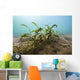 Vegetation Lake Murray Oklahoma Wall Decal