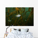 White Crappie Shallow Water Wall Decal