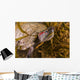 Red-eared Slider Turtle Lake Wall Decal