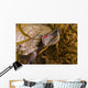 Red-eared Slider Turtle Lake Wall Decal