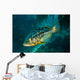 Kelp Bass Swimming through Wall Decal