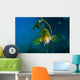 Kelp Rockfish California Front Face Wall Decal