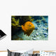 Garibaldi Rises from Seafloor Wall Decal