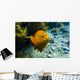 Garibaldi Rises from Seafloor Wall Decal