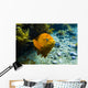 Garibaldi Rises from Seafloor Wall Decal