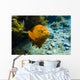 Garibaldi Rises from Seafloor Wall Decal