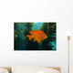 Garibaldi Hide Kelp Catalina Close-up Wall Decal