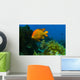 Garibaldi Hide Kelp Catalina Wall Decal