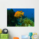 Garibaldi Hide Kelp Catalina Wall Decal