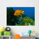 Garibaldi Hide Kelp Catalina Wall Decal