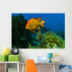 Garibaldi Hide Kelp Catalina Wall Decal