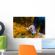 Kelp Rockfish California Wall Decal