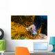 Kelp Rockfish California Wall Decal