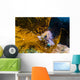 Kelp Rockfish California Wall Decal