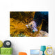 Kelp Rockfish California Wall Decal