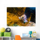 Kelp Rockfish California Wall Decal