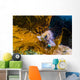 Kelp Rockfish California Wall Decal