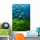 Mexican Tetra Balmorhea Springs Vertical Wall Decal