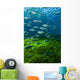 Mexican Tetra Balmorhea Springs Vertical Wall Decal