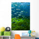 Mexican Tetra Balmorhea Springs Vertical Wall Decal