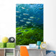 Mexican Tetra Balmorhea Springs Vertical Wall Decal