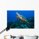 This Sea Turtle Rises Wall Decal