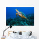 This Sea Turtle Rises Wall Decal