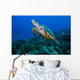 This Sea Turtle Rises Wall Decal