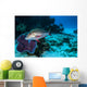 Mutton Snapper Caribbean Sea Wall Decal