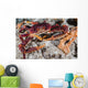 Channel Clinging Crab Hiding Wall Decal