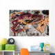 Channel Clinging Crab Hiding Wall Decal
