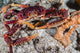 Channel Clinging Crab Hiding Wall Decal