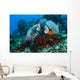 Pair Gray Angelfish Swimming Wall Decal