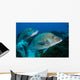 Large Margates Swimming across Wall Decal