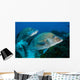 Large Margates Swimming across Wall Decal