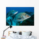 Large Margates Swimming across Wall Decal