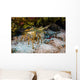 Spiny Lobsters under Overhang Wall Decal