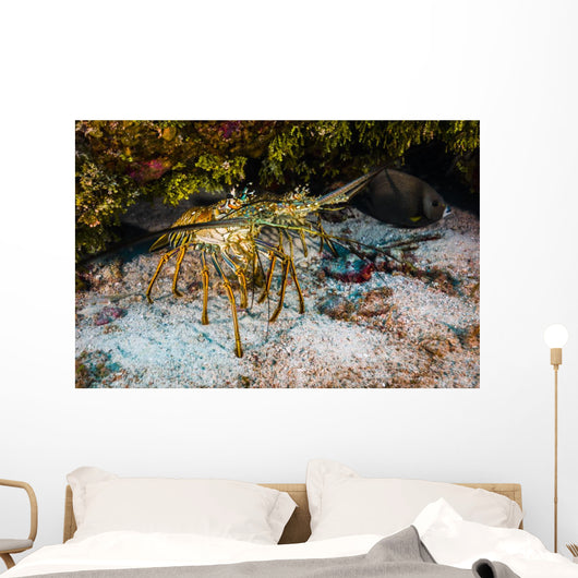 Spiny Lobsters under Overhang Wall Decal
