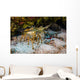 Spiny Lobsters under Overhang Wall Decal
