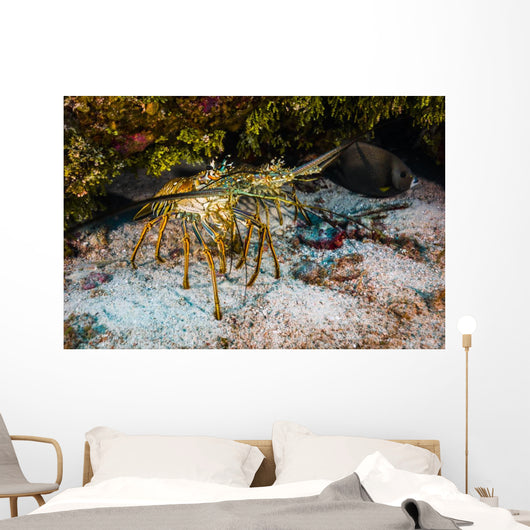 Spiny Lobsters under Overhang Wall Decal