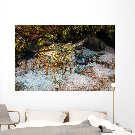 Spiny Lobsters under Overhang Wall Decal
