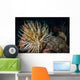 Night Diving Shows Life Wall Decal