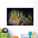Night Diving Shows Life Wall Decal
